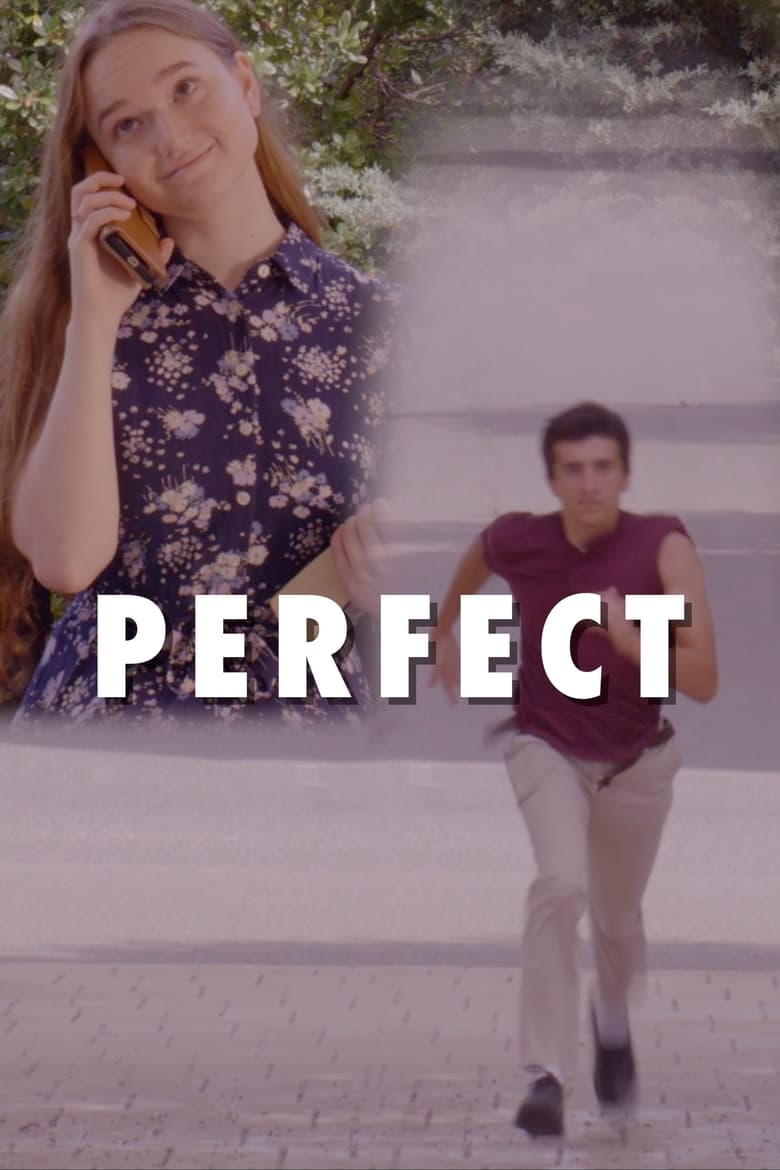 Poster of Perfect