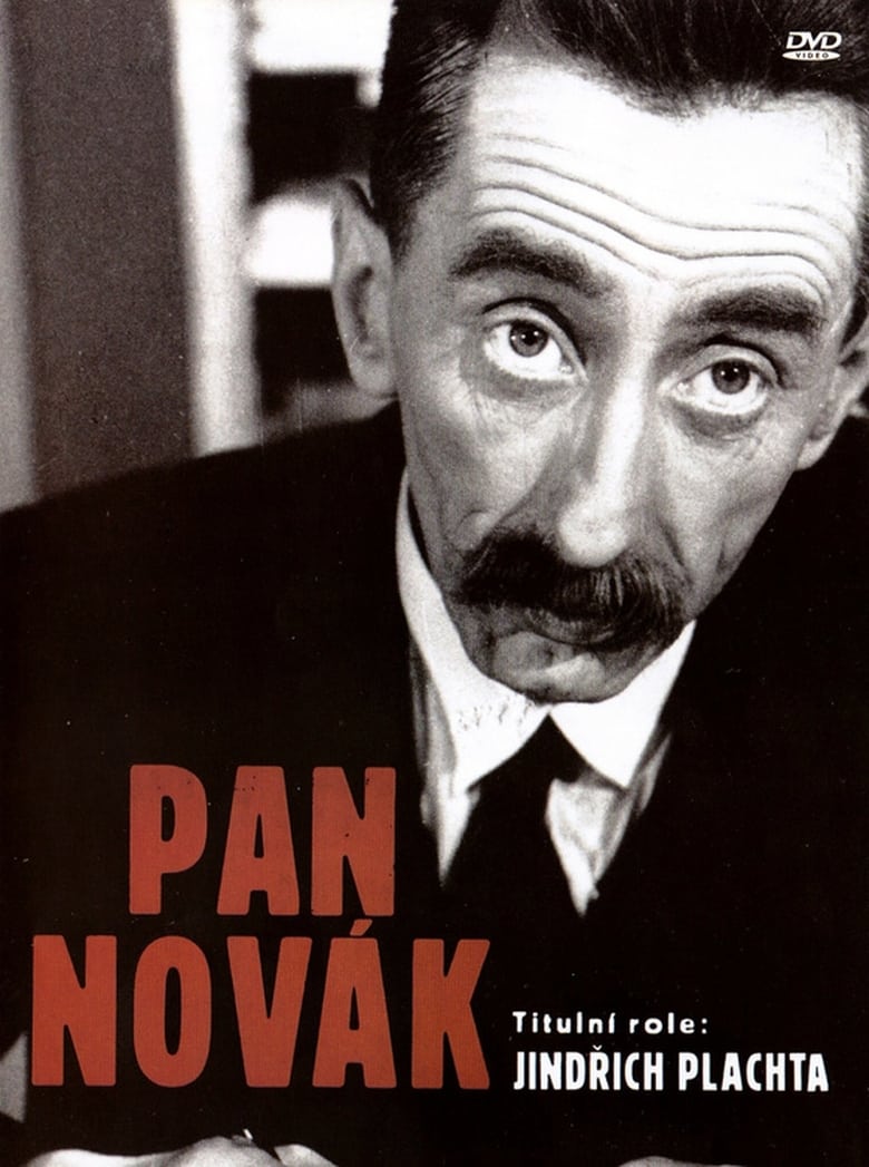 Poster of Pan Novák