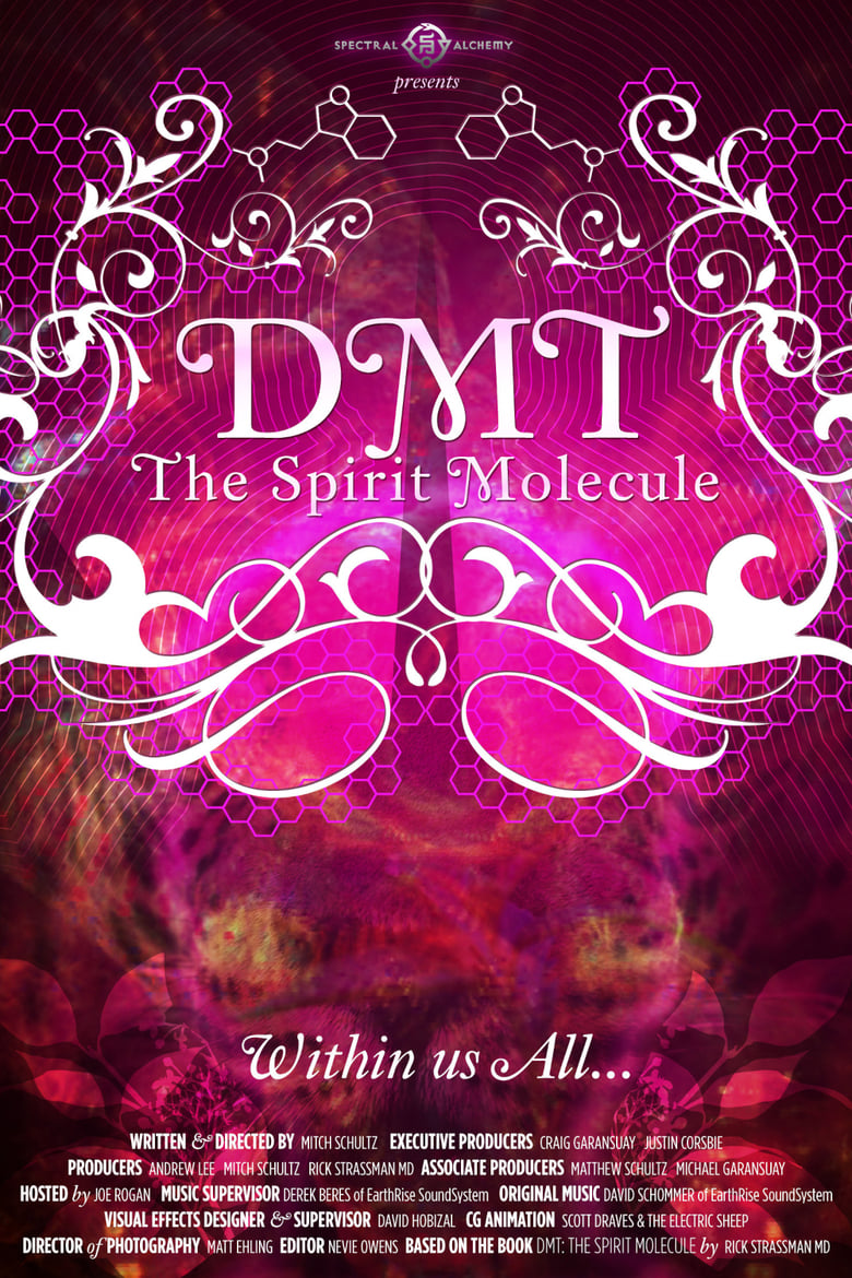 Poster of DMT: The Spirit Molecule