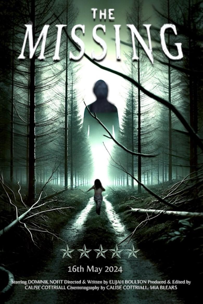 Poster of The Missing