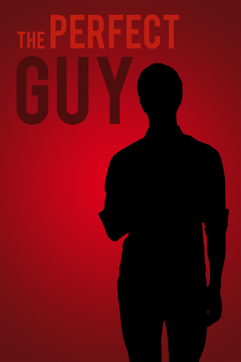 Poster of The Perfect Guy