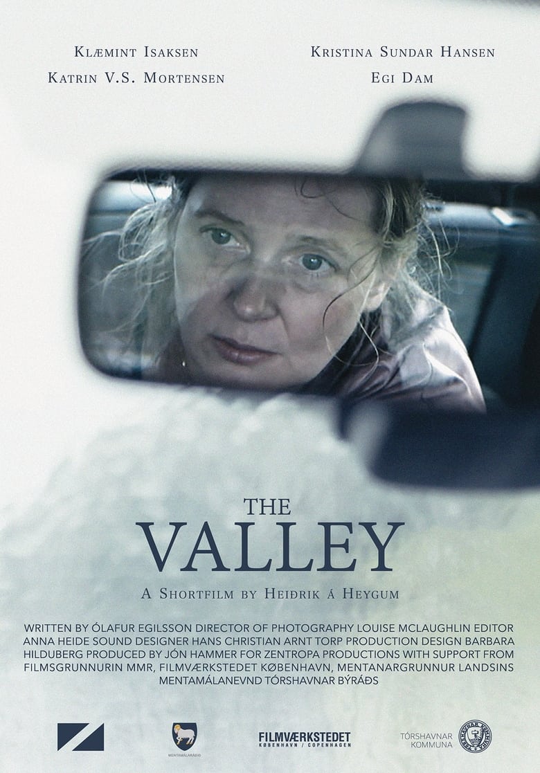 Poster of The Valley