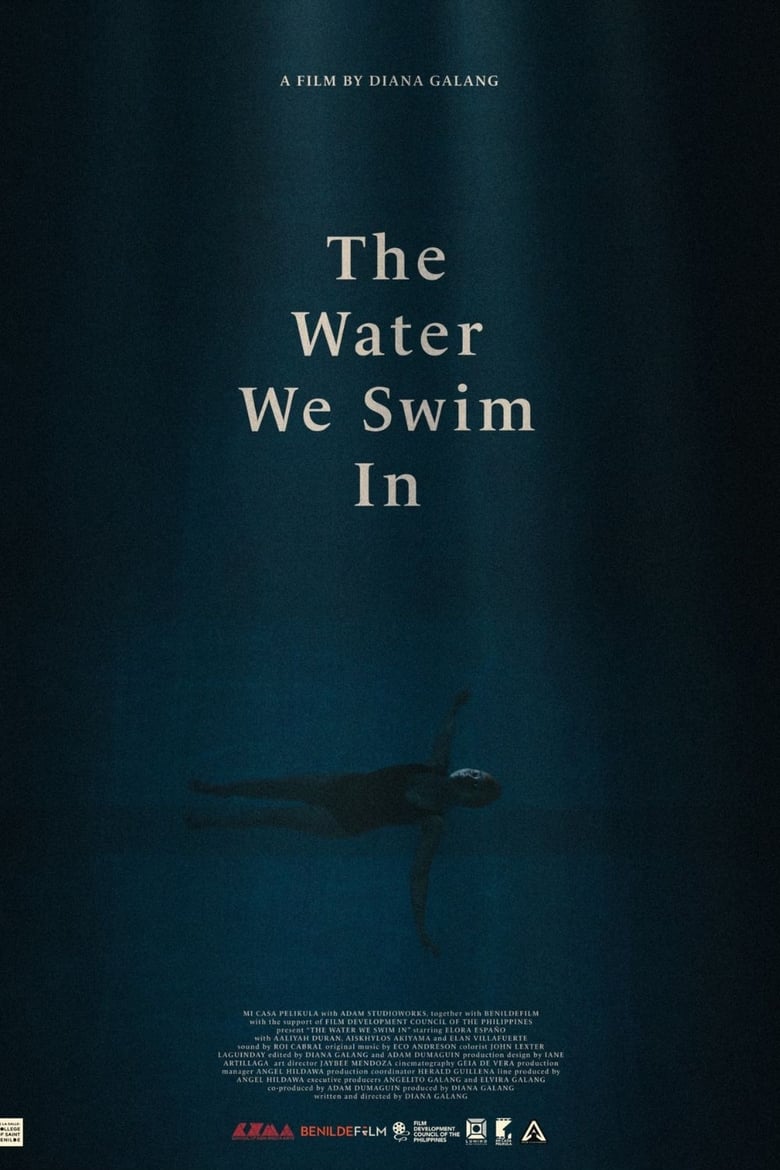 Poster of The Water We Swim In