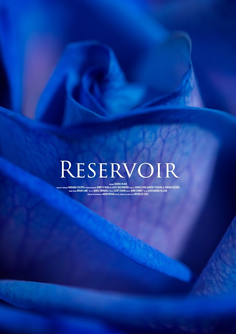 Poster of Reservoir