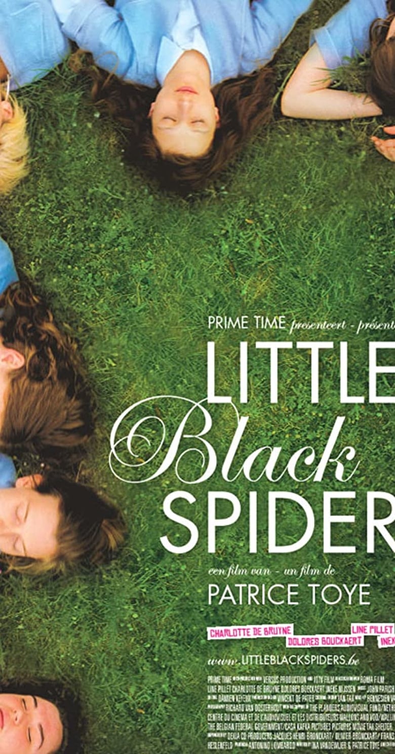 Poster of Little Black Spiders