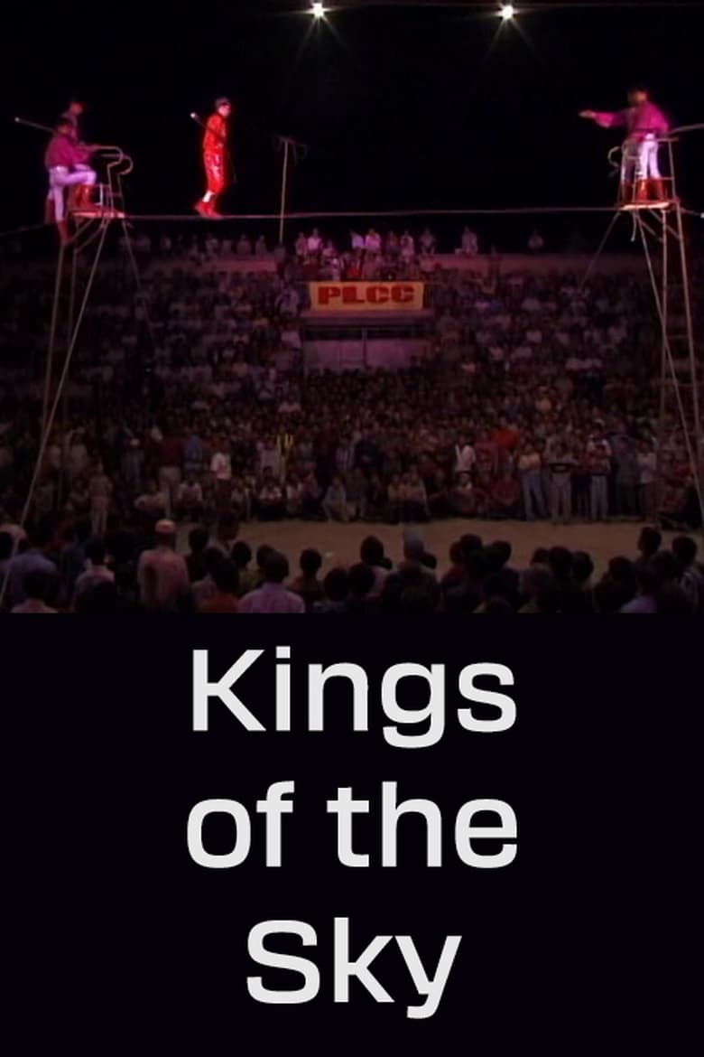 Poster of Kings of the Sky