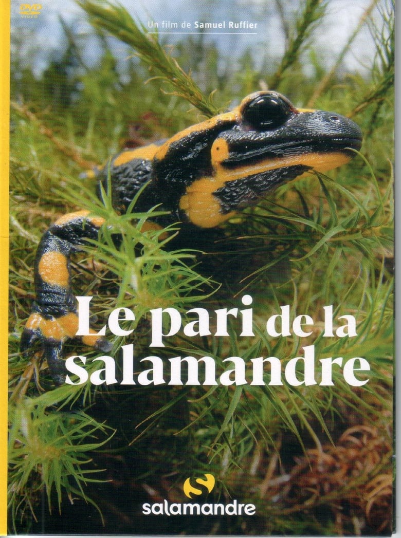 Poster of Le Pari De La Salamandre