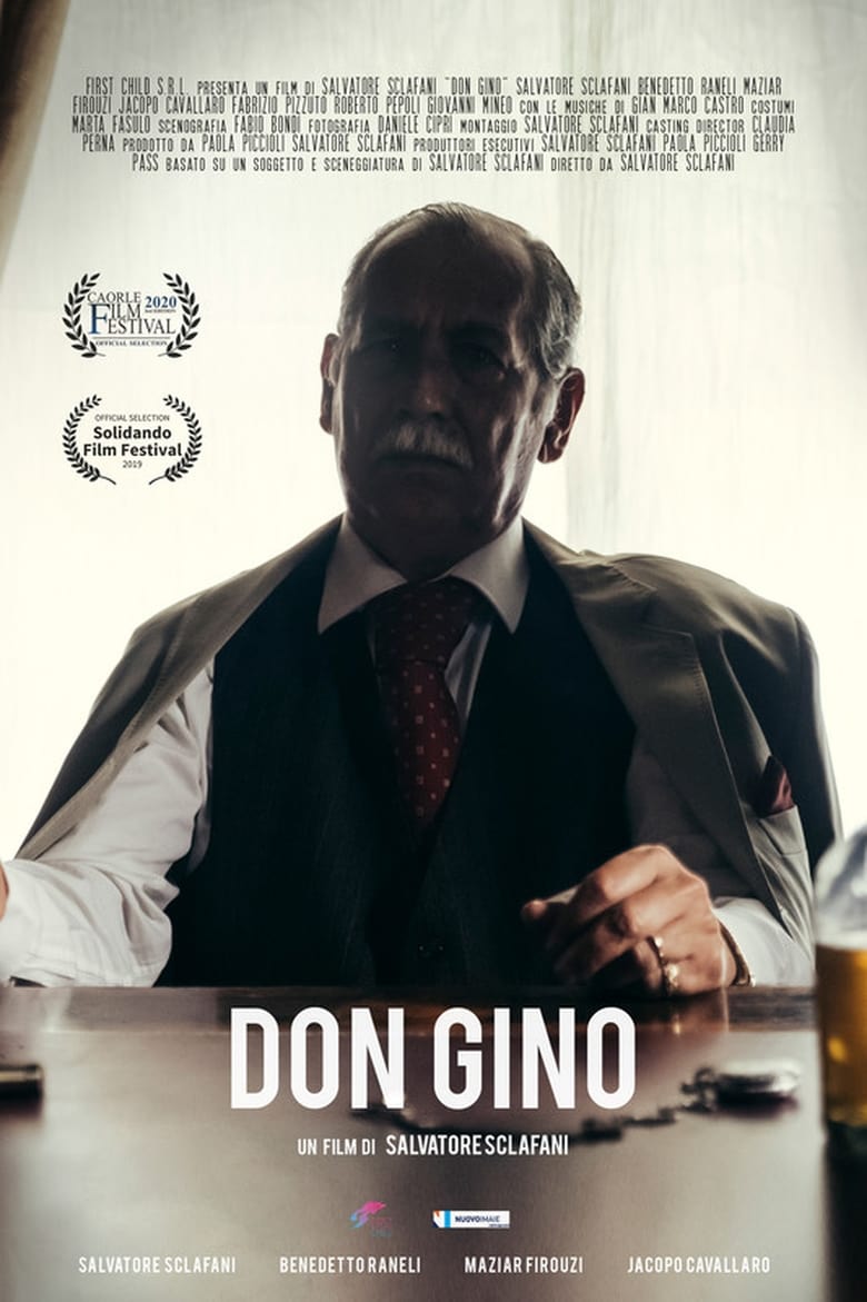 Poster of Don Gino