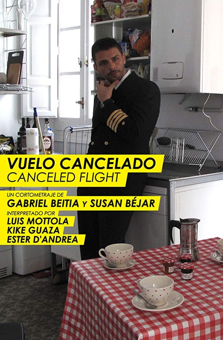 Poster of Canceled Flight