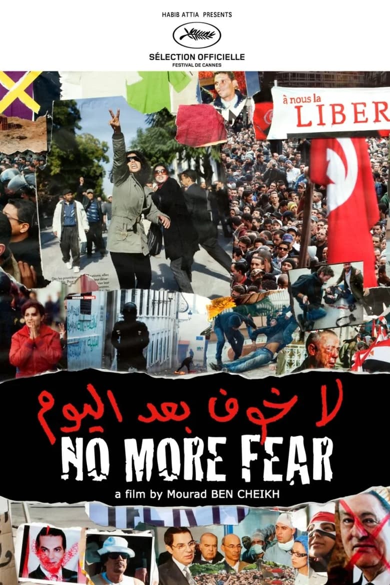 Poster of No More Fear