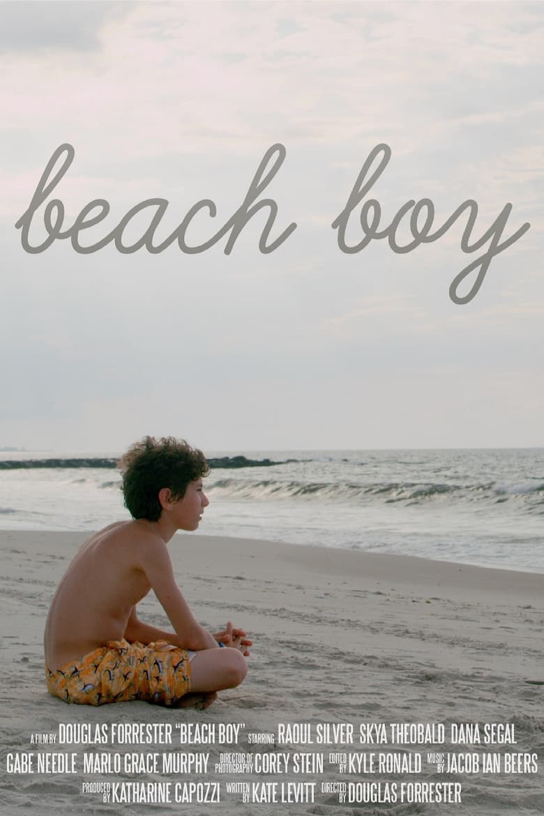 Poster of Beach Boy