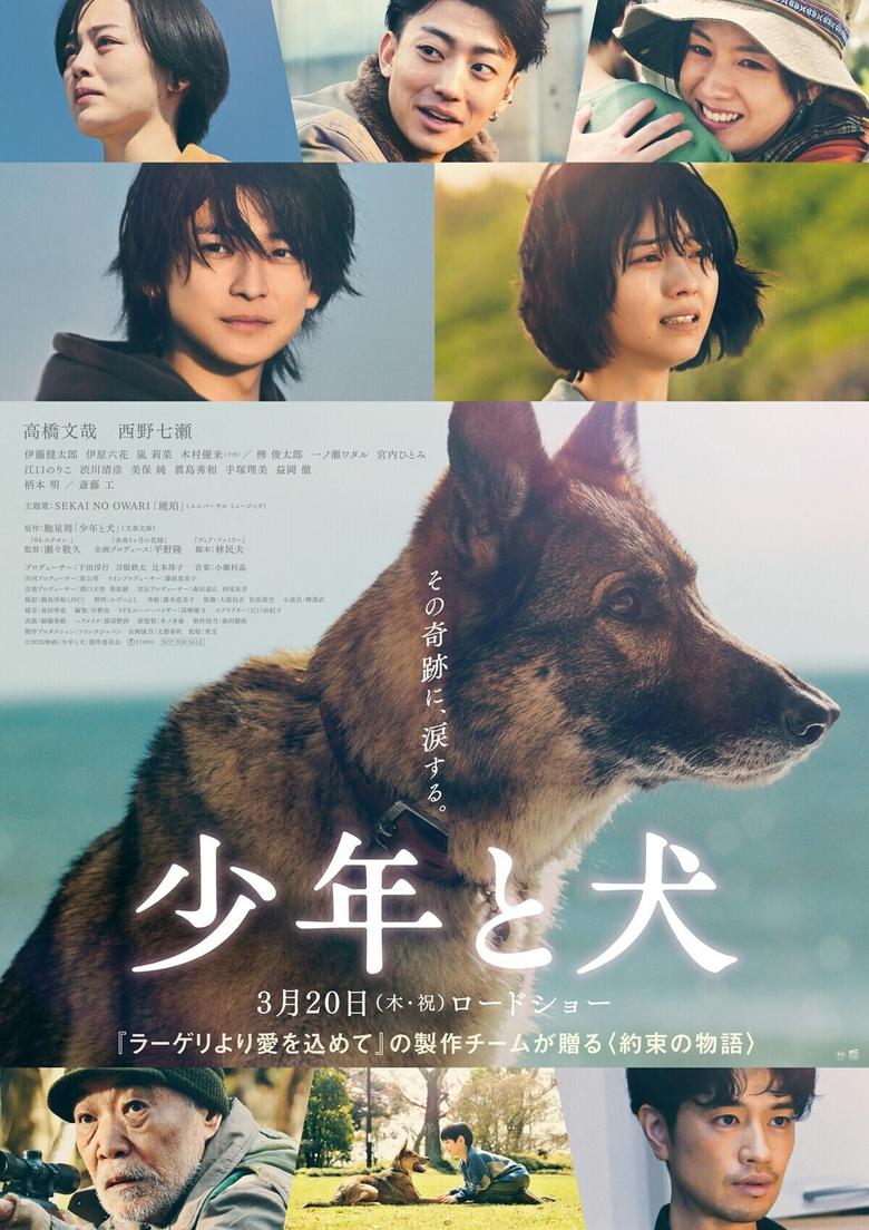 Poster of The Boy and the Dog