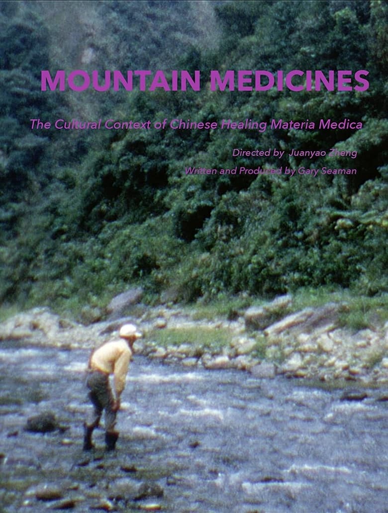 Poster of Mountain Medicines