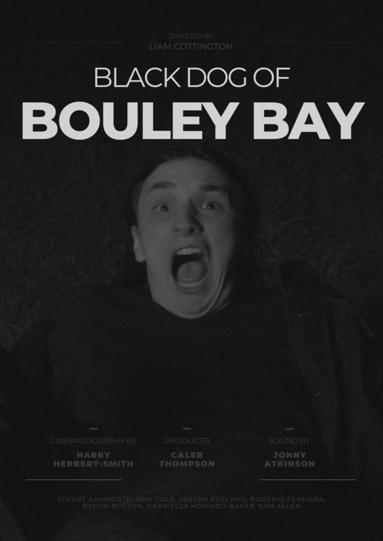 Poster of Black Dog of Bouley Bay