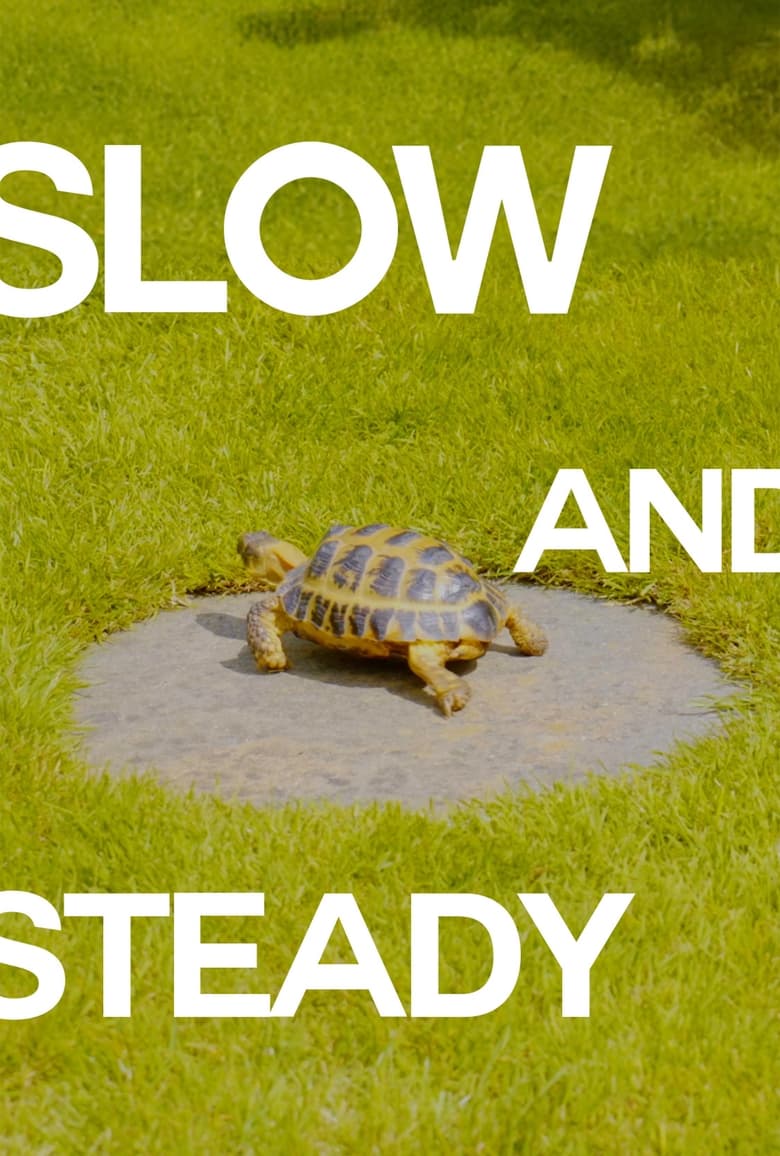 Poster of Slow And Steady