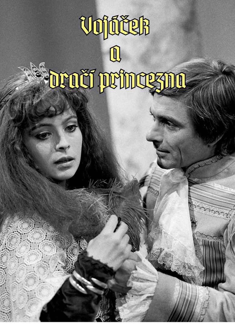 Poster of Vojáček a dračí princezna