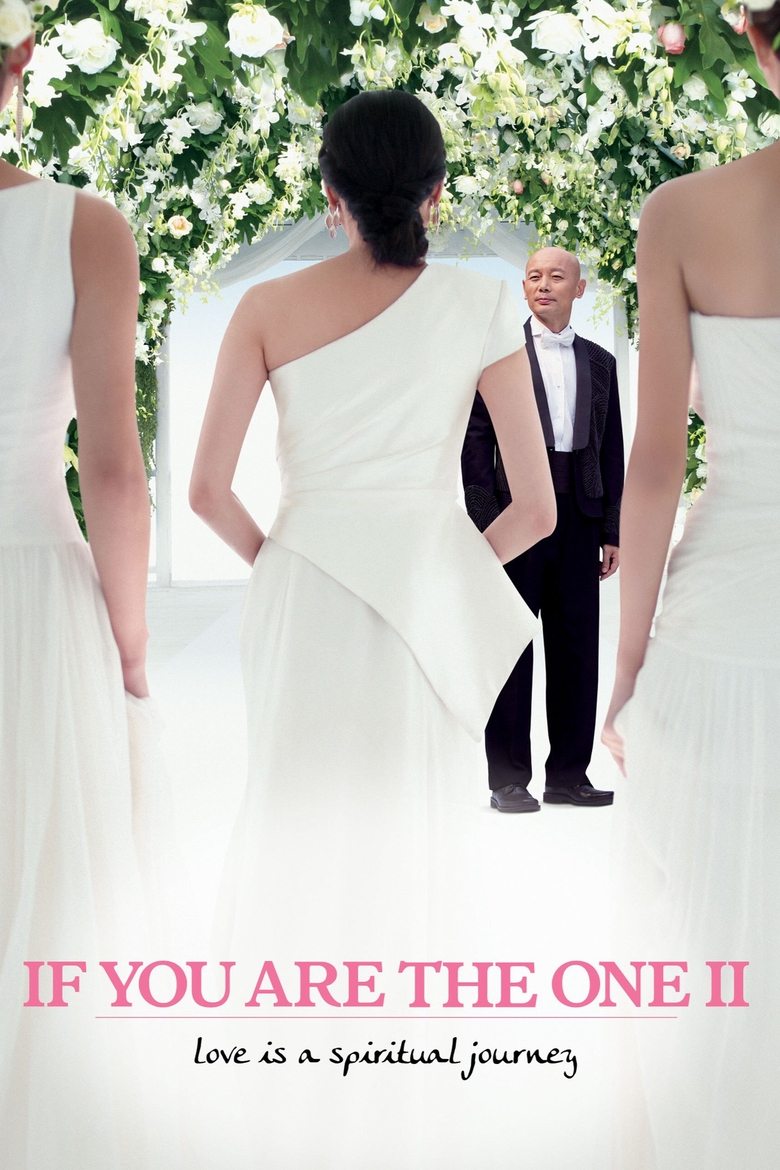 Poster of If You Are the One 2