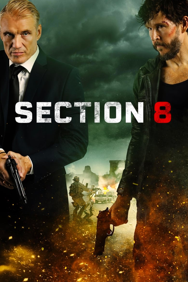 Poster of Section 8