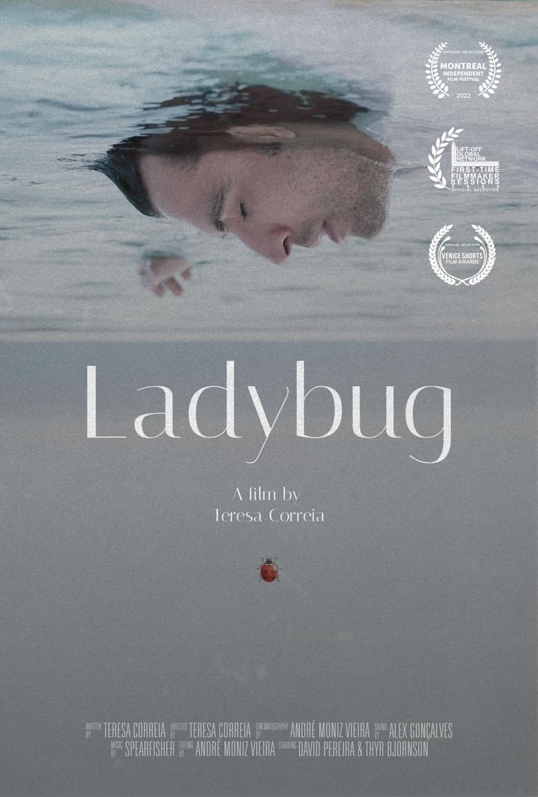 Poster of Ladybug