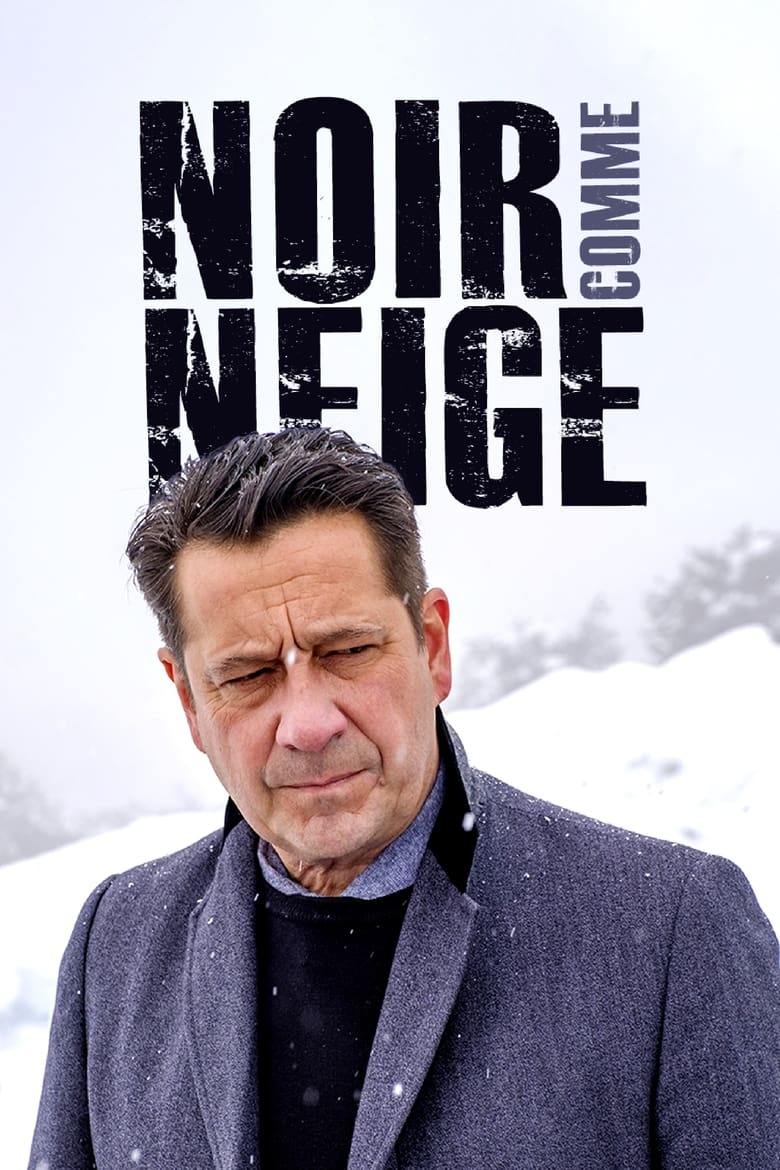 Poster of Noir comme neige