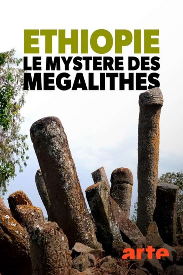 Poster of Éthiopie, le mystère des mégalithes