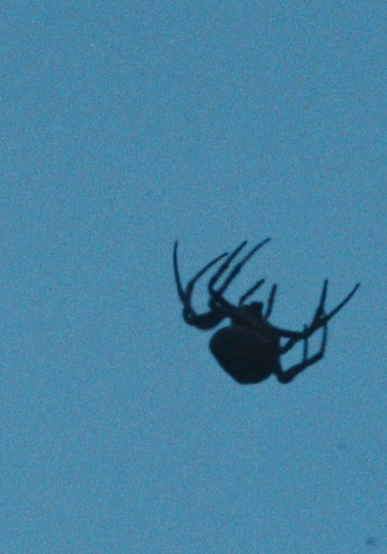 Poster of Star Nest