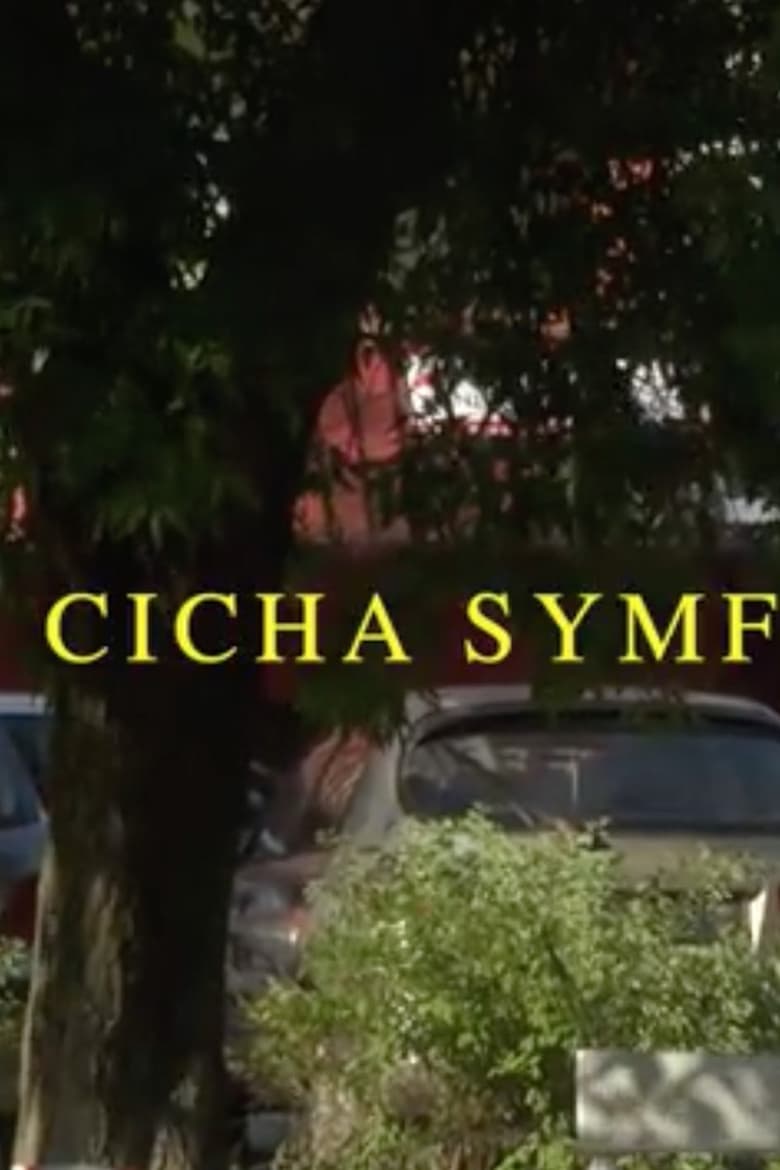 Poster of Cicha symfonia