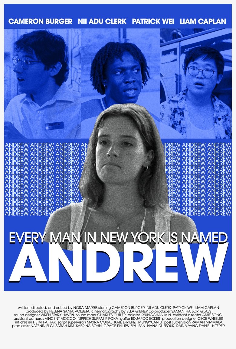 Poster of Every Man in New York Is Named Andrew