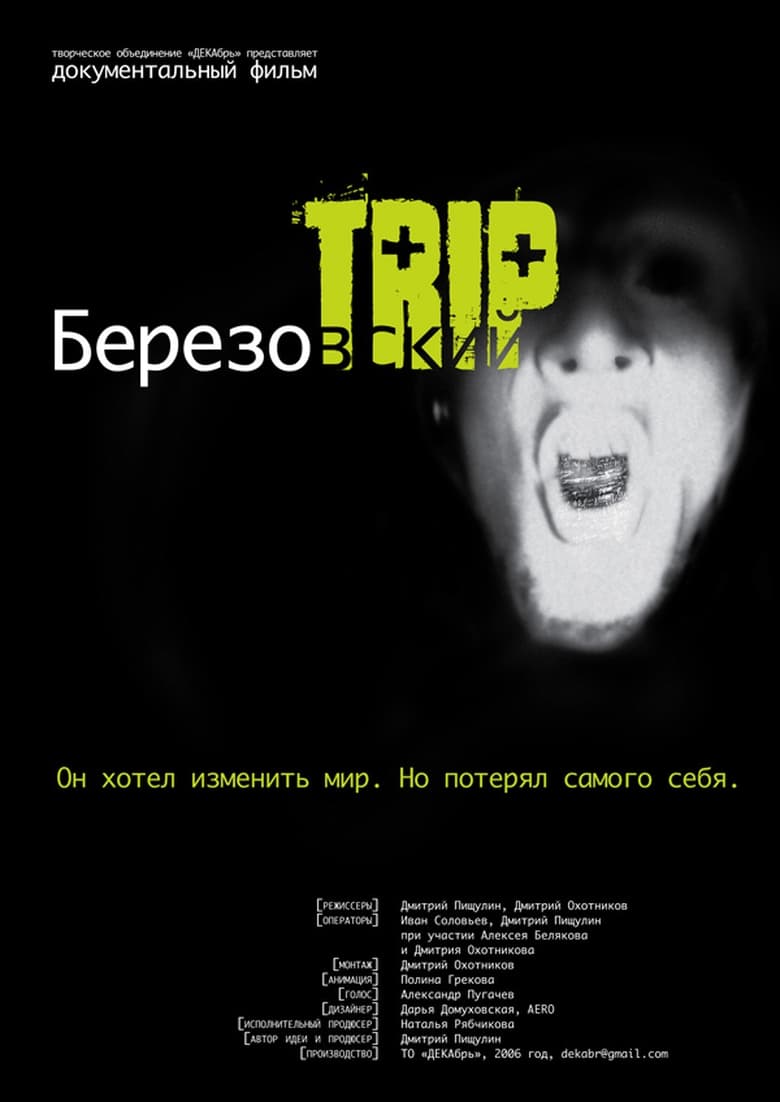 Poster of Berezovsky Trip