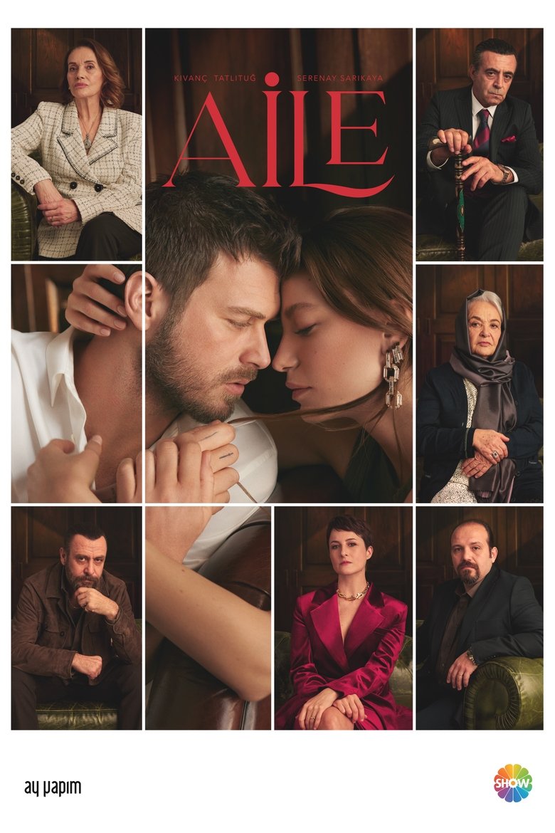 Poster of Episodes in The Family - Season 1 - Season 1