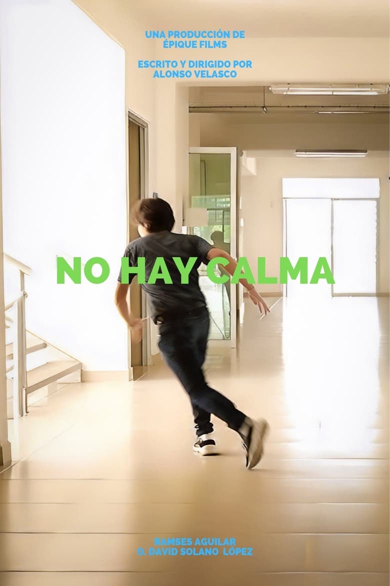 Poster of No hay calma