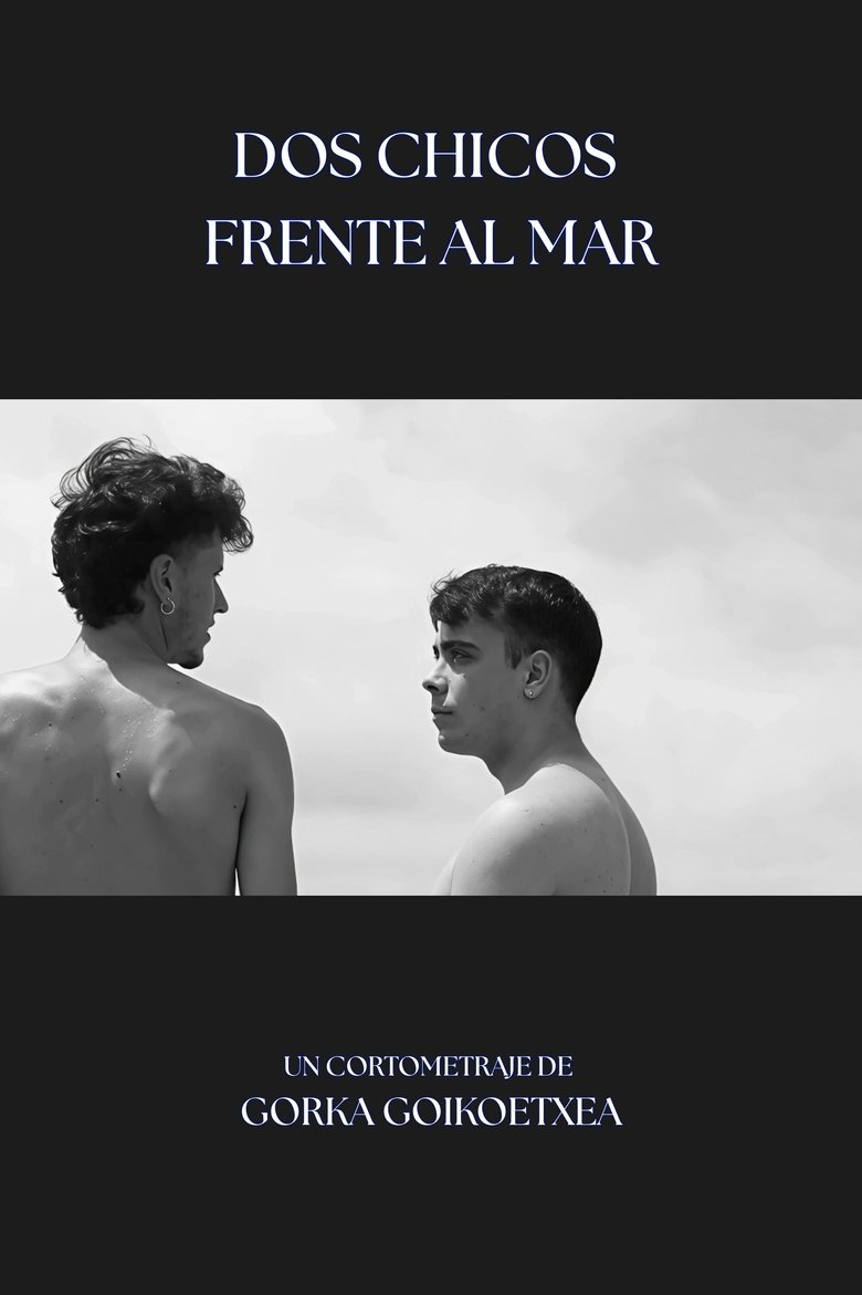 Poster of Dos Chicos Frente al Mar
