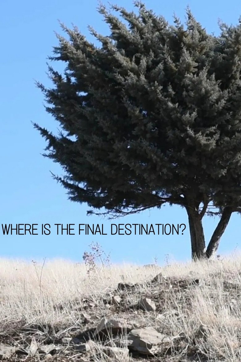Poster of Where is the Final Destination?