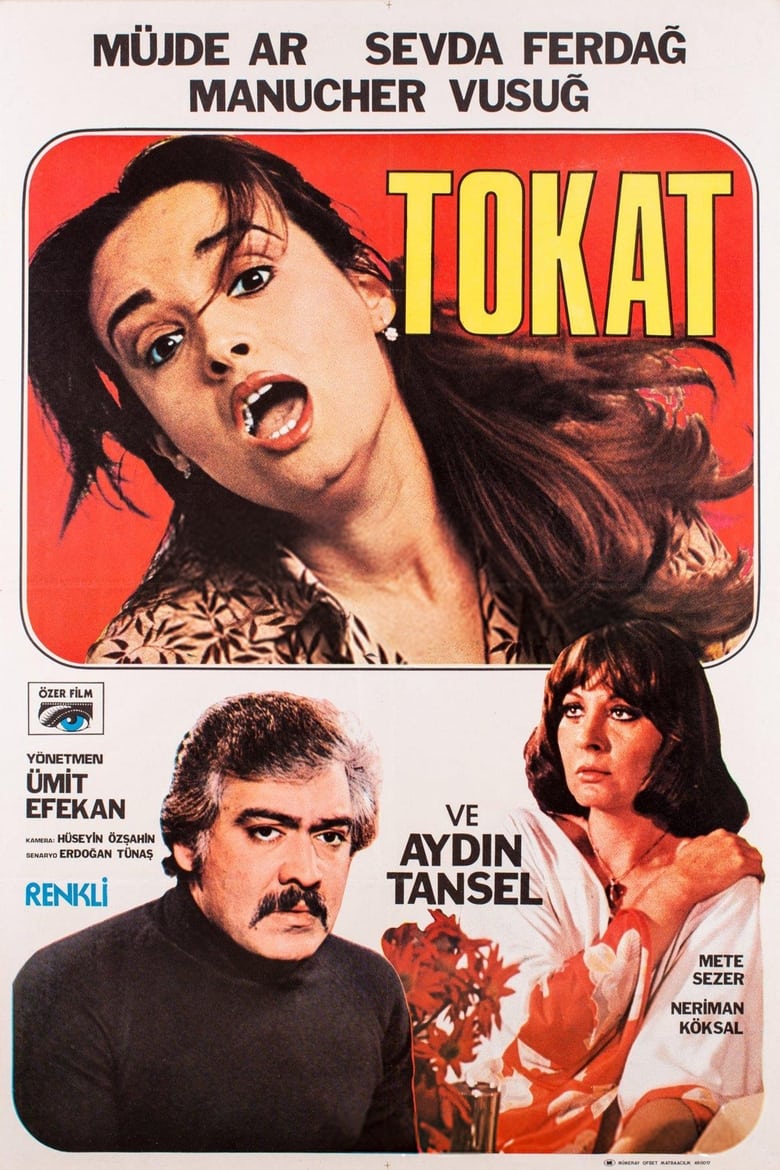 Poster of Tokat