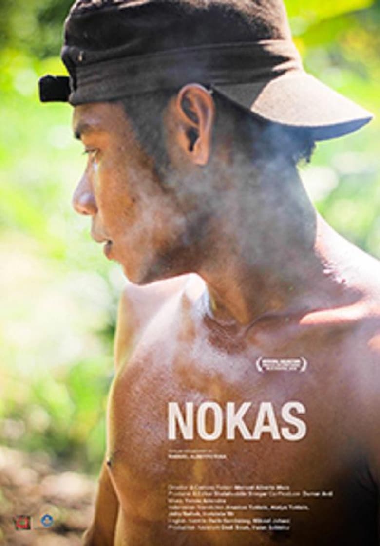 Poster of Nokas