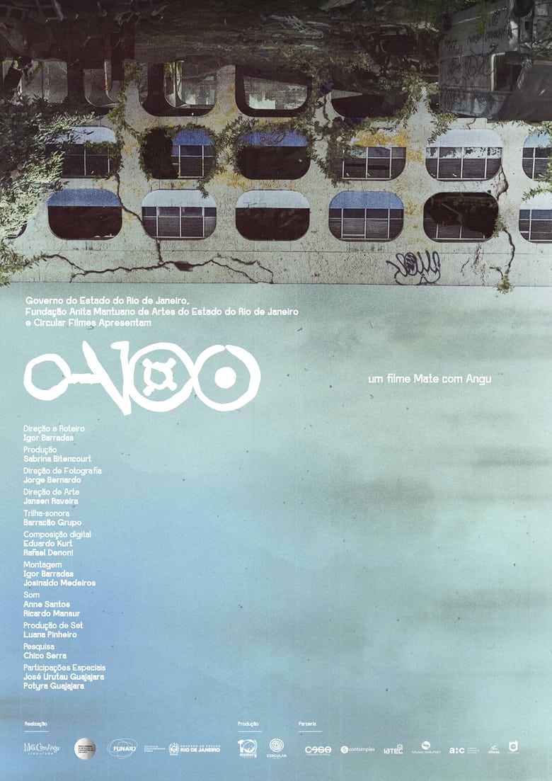 Poster of O Voo