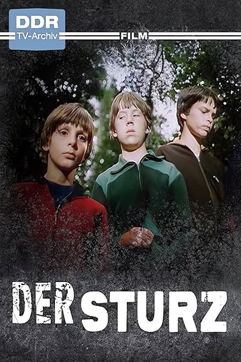 Poster of Der Sturz
