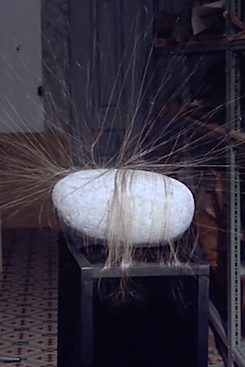 Poster of Hairy Stone