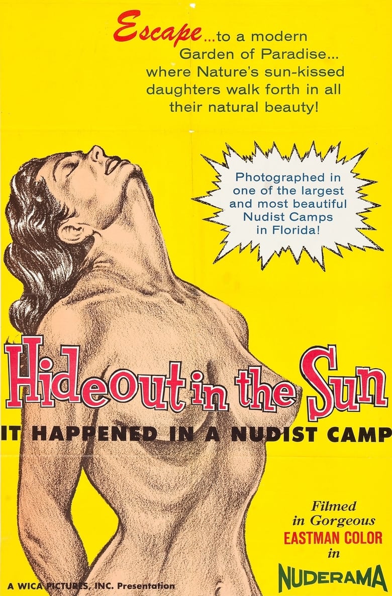 Poster of Hideout in the Sun