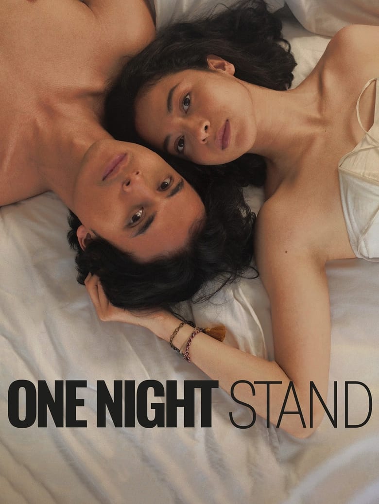 Poster of One Night Stand