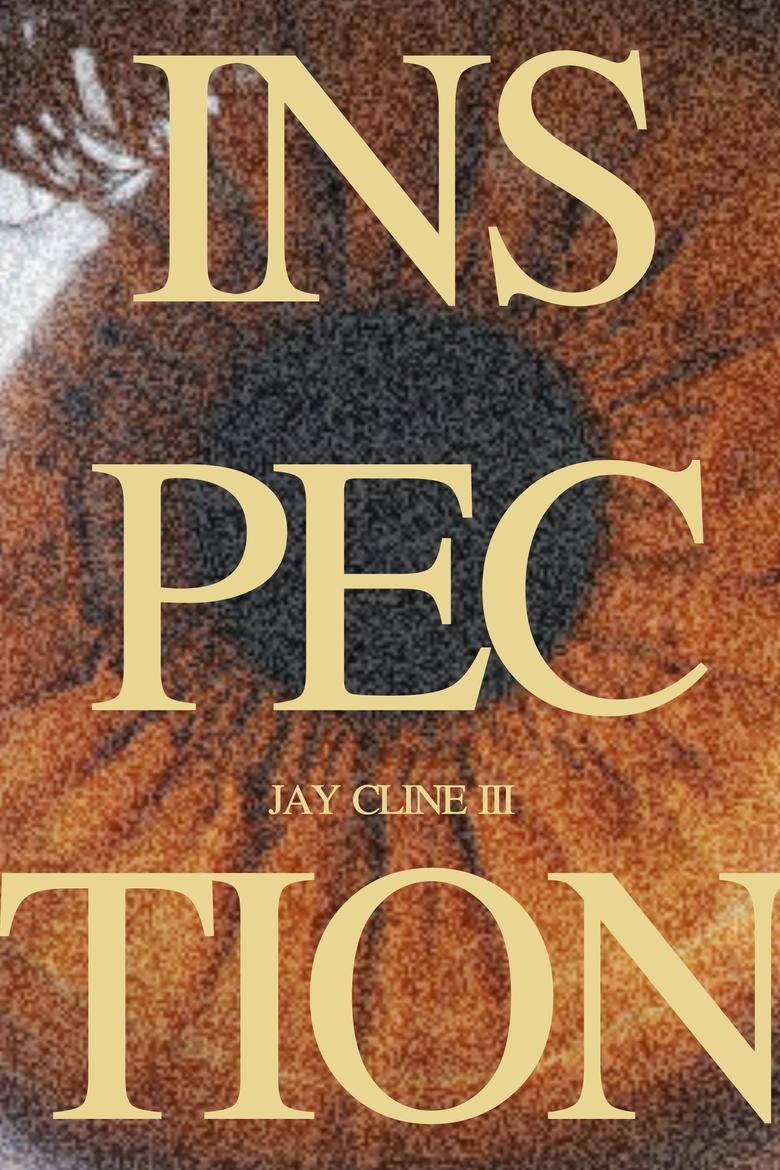 Poster of INSPECTION