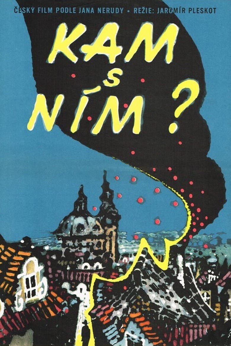 Poster of Kam s ním?