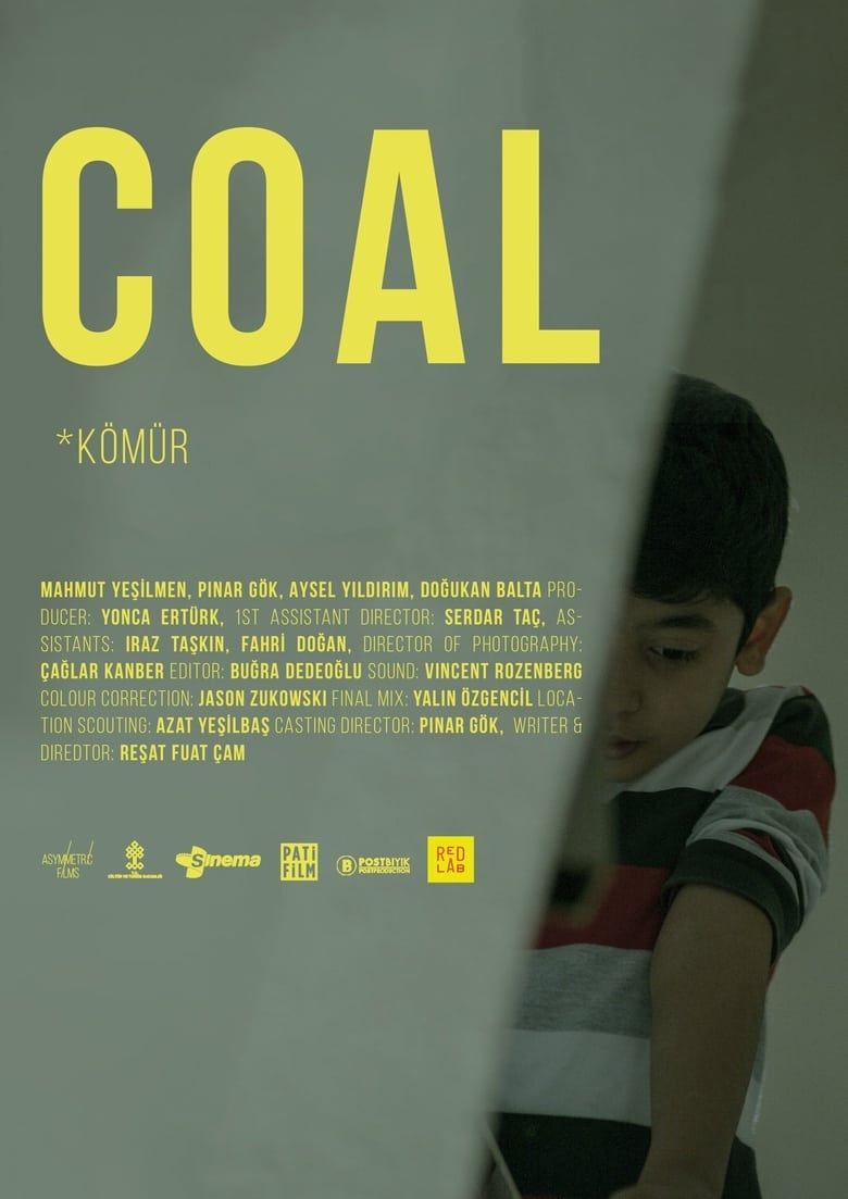 Poster of Coal