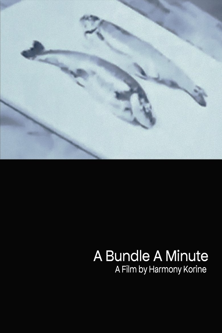 Poster of A Bundle A Minute