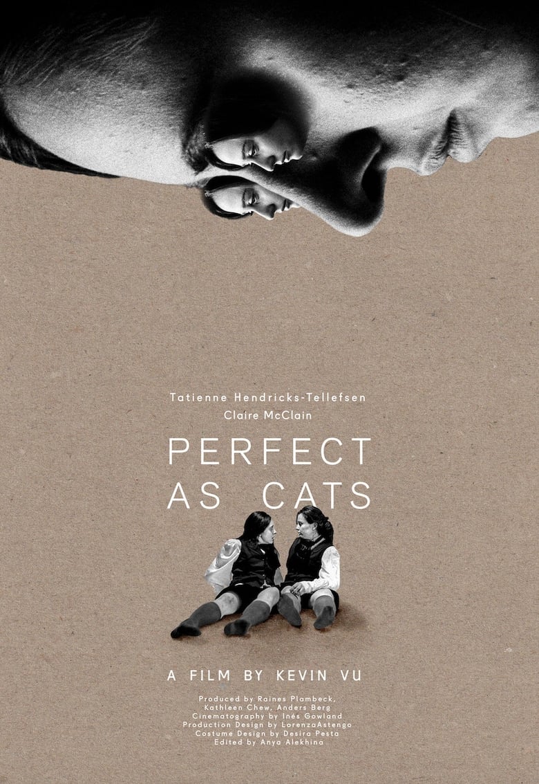 Poster of Perfect as Cats