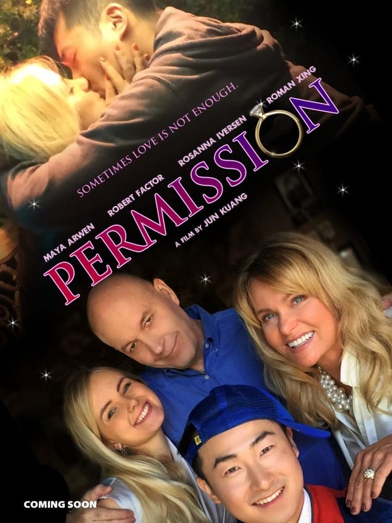 Poster of Permission