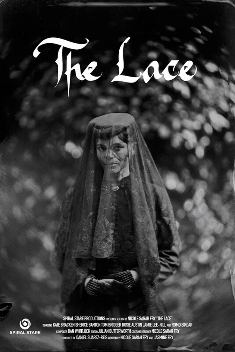 Poster of The Lace