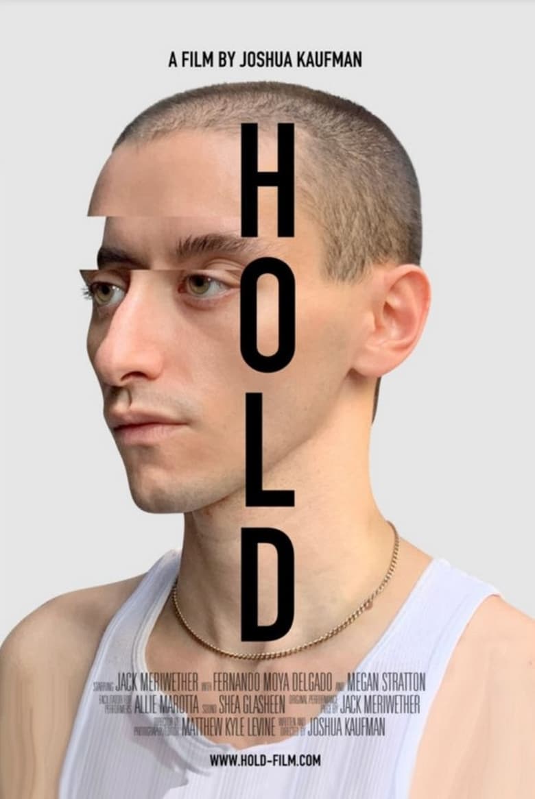 Poster of Hold