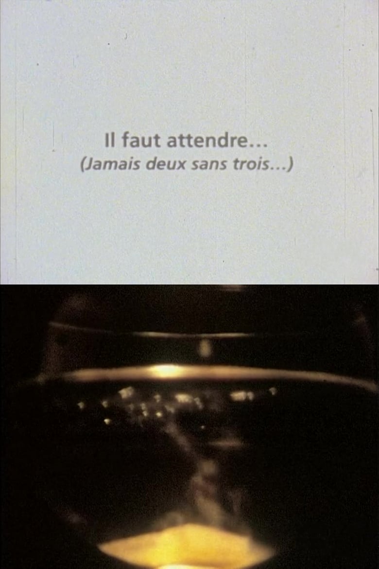 Poster of Il faut attendre (jamais deux sans trois)