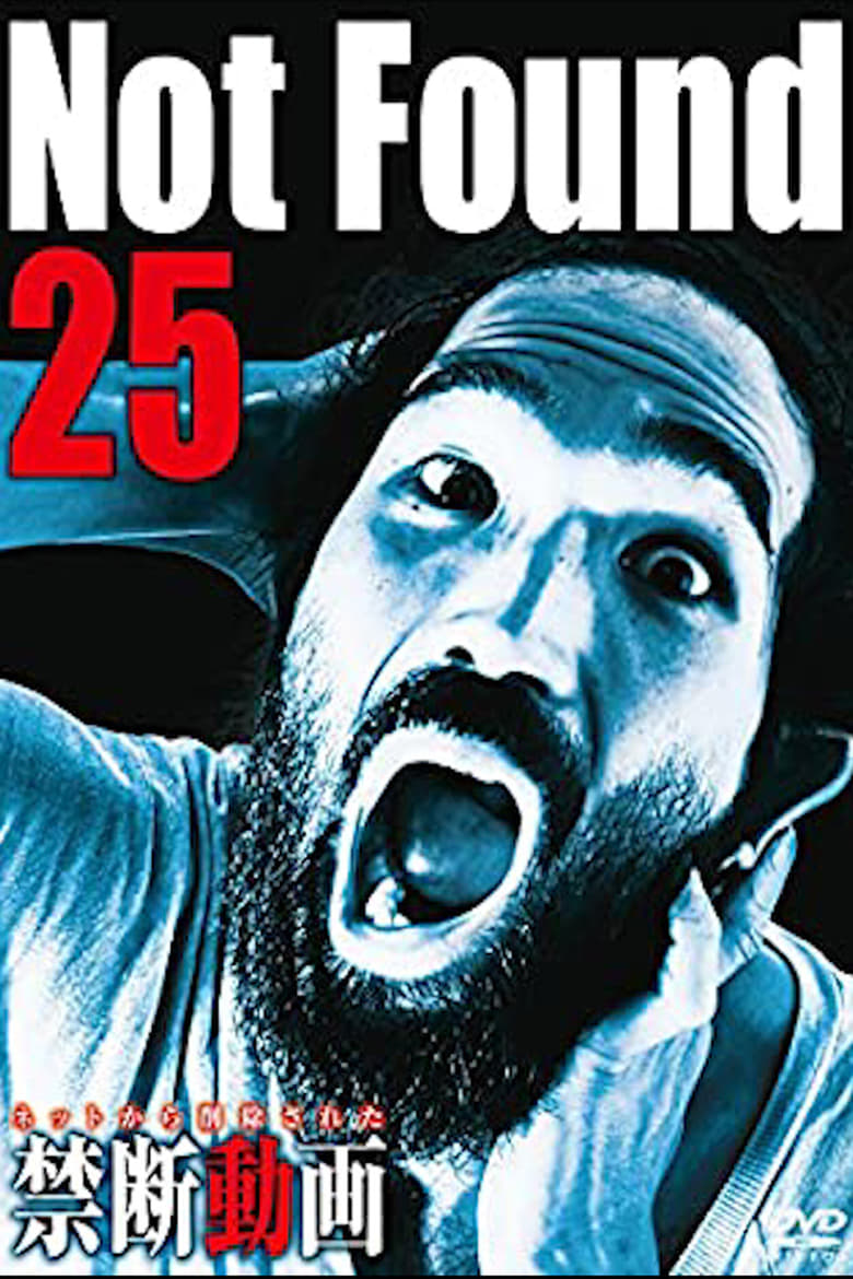 Poster of Not Found 25